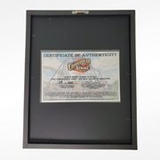 Carowinds Copperhead Strike Collectible Pin Frame